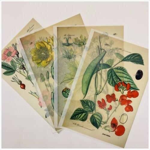 12PCS Vintage Botany Priming Stickers DIY Scrapbooking Album junk journal A6 Diary Happy Planner Decoration Stickers