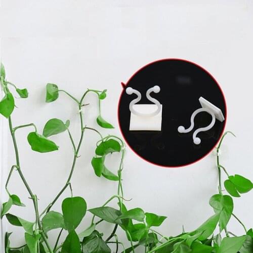 10pcs Plant Climbing Wall Clip Self-Adhesive Buckle Fastener Hook Garden plant Decoration Home Garden Wall Sticky Hook