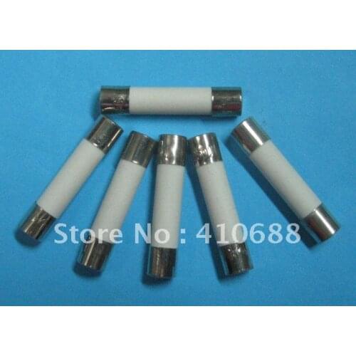 600 Pcs Per Lot Ceramic Fuse 20A 250V 6mm x 30mm Fast Blow Hot Sale HIGH Quality