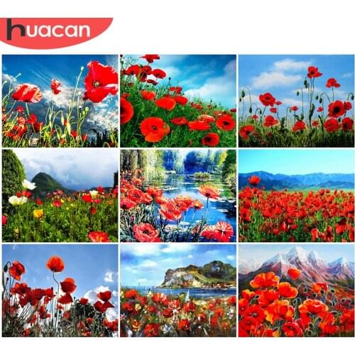 HUACAN Coloring By Number Poppy Flower Kits For Adults Handpainted On Canvas DIY Painting By Number Sea Of Flowers Home Decor