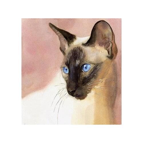 Siamese Cat art - TOP art oil painting--24 inch art painting # TOP animal Decor OIL ON CANVAS- accept custom painting