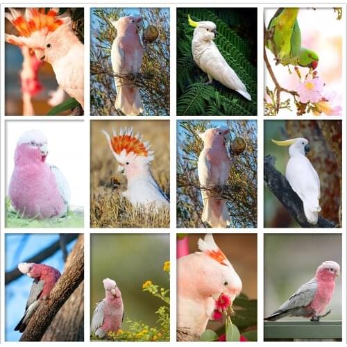 5D DIY Full Drill Diamond Painting Pink Parrot Animal Diamond Mosaic Embroidery Landscape Cross Stitch Kits Art Home Decor Gift