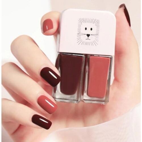 6ml x 2 Matte Nail Polish Water-proof Dry Quickly Resin Matte Nail Polish Set for Beauty