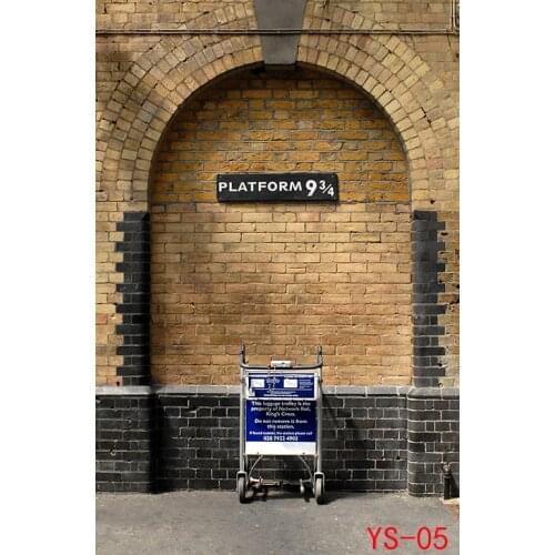 Vinyl Custom Heaven Photography Backdrops Prop Wall 9 3/4 Station Theme Photography Background SS-8051