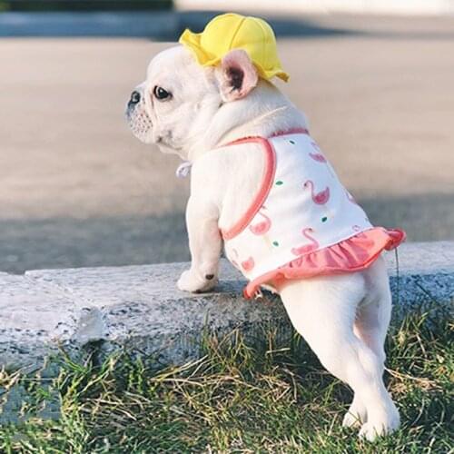 Lovely Pet Dog Dress French Bulldog Skirt Summer Clothes For Small Medium Dogs Puppy Chihuahua Yorkie Pug Clothing IBC10