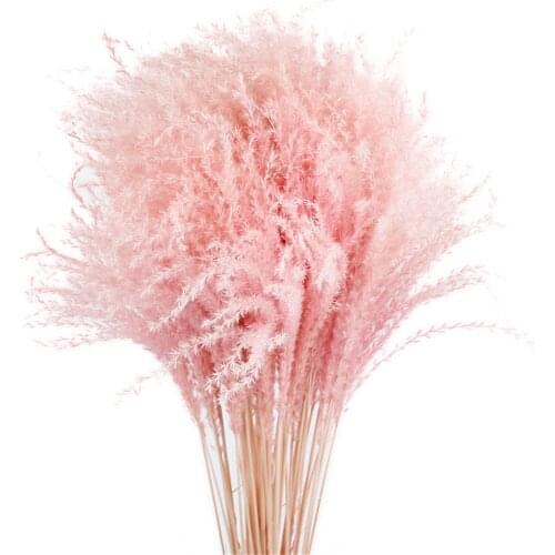 Pink white color pampas grass decor dried natural flowers bouquets wedding flowers feather flowers tall 19-22‘’ christmas decor