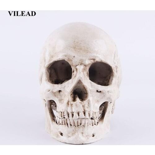 VILEAD Size 1:1 Model Life Skull Decoration Handmade High Quality Replica Resin Halloween Decor Coffee Bar Tabletop Sculpture