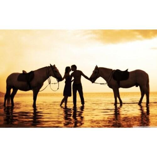 Romantic Horses on Beach Art Film Print Silk Poster Home Wall Decor 24x36inch