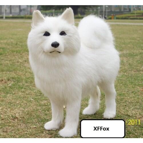 Cute real life white dog model plastic&furs samoyed dog doll gift about 24x8x21cm xf1577