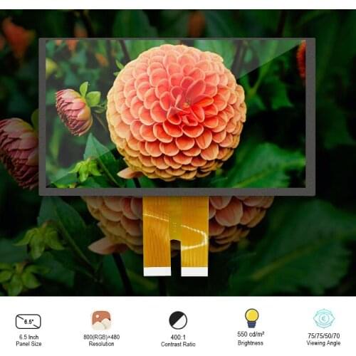 Original PVI PM065WX3 800x480 6.5 Inch TFT LCD Display 550 Nits 60 Pins FPC Module For Automotive Display