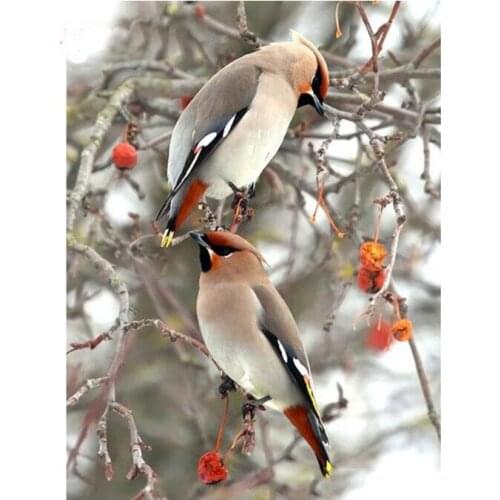 Tree birds diamond mosaic full square lovers embroidery painting rhinestone wall sticker decor diamond art needlework handcraft