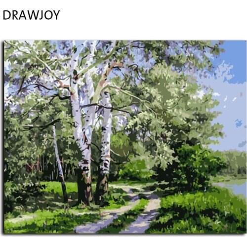 DRAWJOY DIY Frameless Pictures Painting By Numbers Coloring By Numbers On Canvas Home Decoration For Living Room 40*50cm GX7487