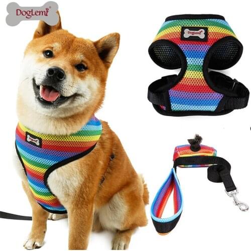 Rainbow stripes Breathable pet rope chain chest strap dog collar harness with leash for Teddy dog Law dog Outing pet supplies