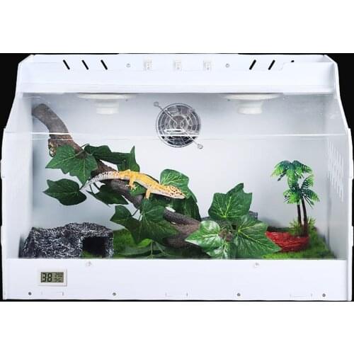Horned frog lizard spider insect hermit crab turtle tank reptile scorpion gecko Testudo elongata hedgehog incubator Breeding box