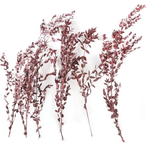 100% Natural Eucalyptus Leaves Bouquet Eternal Dried Flower For Wedding Decor