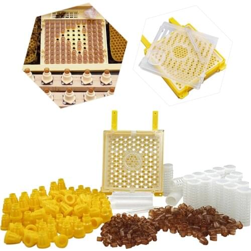 Germany Jenter Queen Rearing Kit Bee Hive Tools For Beekeeping Equipment Beekeeper Suppiler