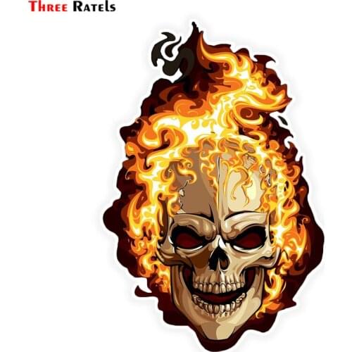Three Ratels LCS283# 10.8x16cm fire skull colorful car sticker funny car stickers styling removable decal