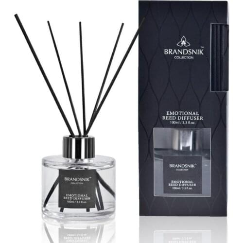 Ocean Scented Fragrant Home Air Freshener Fragrance Reed Diffuser Aroma Gift