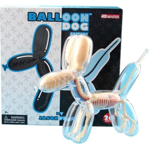 Big balloon dog 4D Master artist Jason Freeny assembled transparent perspective bone anatomical model