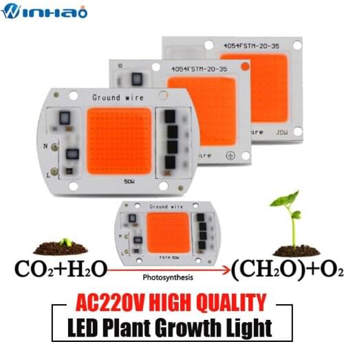 YOYOLUO Professional Lighting