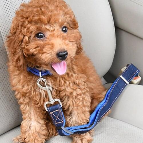 Pet Car Use Seat Belt Dog Car Safety Buckle Fixed Rope Adjustable Retractable Belt Car Dog Safety Rope Firm Three Colors