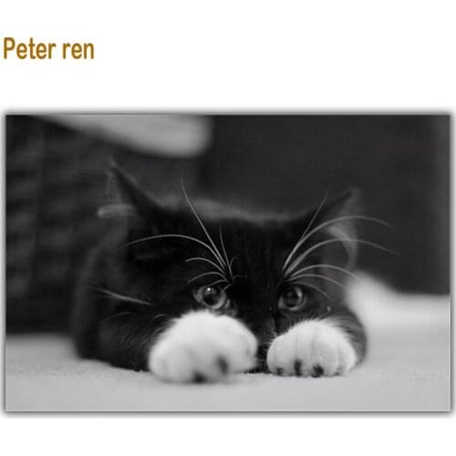Peter ren Diamond painting Beautiful beadwork 5d Round \ Square drill Mosaic icon Full Diamond embroidery "White paw black cat"