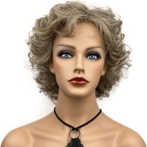 Aimolee Short Curly Natural Fluffy Hairstyles Hair Light Golden Brown/Pale Blonde Mixed Capless Wigs Womens Synthetic Hair Wig