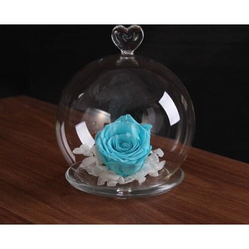 Diameter=13cm Small Size Heart Top Round Glass Dome Vase Home Decoration Creative Glass Base Cover DIY Friend Gift Wedding