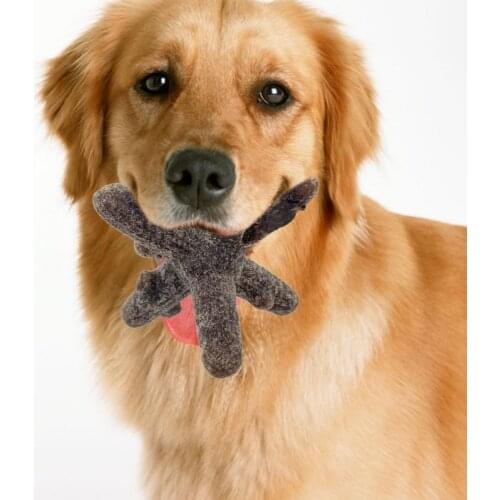 Pet Dog Toy Creative Rubber Gnawing Molars Twig Antlers Branch Shape Chew Toy Durability Bite Resistant Molar Pet Supplies