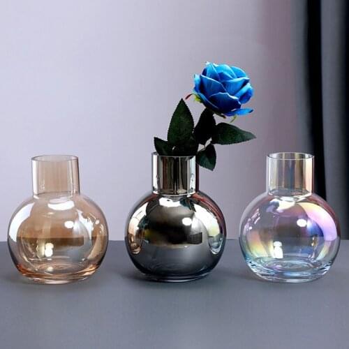 Nordic Transparent Round Glass Vase Household Flower Vase Home Decoration Crafts Hydroponics Plants Holder Artware Fairy Garden