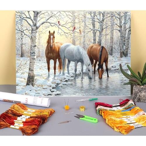 Nature Printed Water-Soluble Canvas 11CT Cross-Stitch Kit DIY Embroidery DMC Threads Hobby Knitting Needlework Stamped