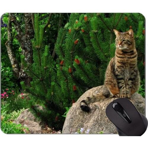 Mouse Pad with Stitched Edge,Animal cat garden Home Office Computer Accessories Mousepads