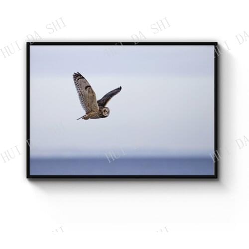 Lone Owl Landscape Photograph Nature Wall Art Print Poster or Canvas Artwork