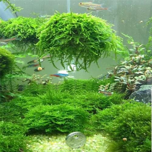 Plastic Aquarium Decoration Live Plants Fish Tank Media Moss Ball Filter for Fish Tank Aquatic Pets Mineral Balls Ornaments