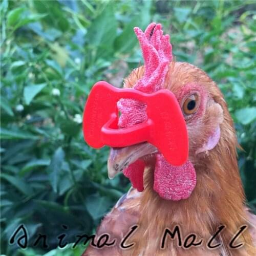 20 pcs Chicken Glasses Visor Anti-pecking tools Great pheasant Broiler Caged hens Cockerel Hen Peacock Cockfighting 4.5 x 2.7 cm