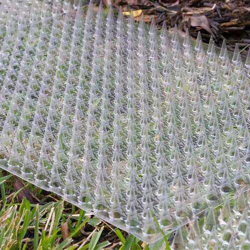 6PCS Garden Anti-cat Net Plastic Prevent Cat Thorn Mat Vegetable Garden Plant Protection Mesh Multi-function Protective Net