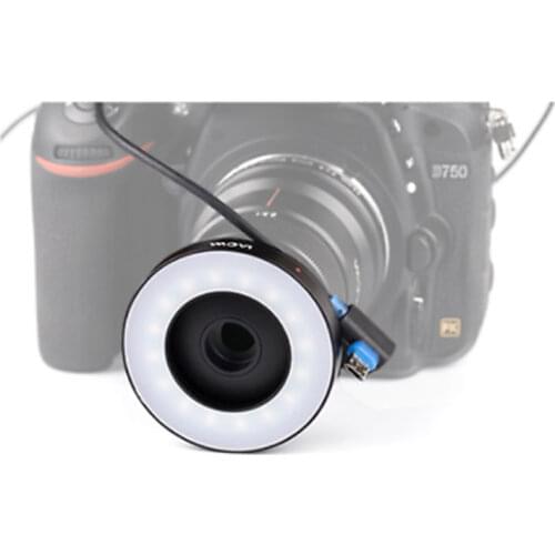 Binorca Photo Flashes
