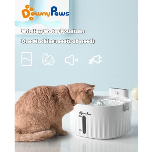 DownyPaws Products For Dogs
