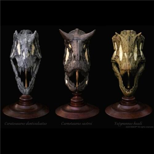 REBOR 2020 Dinosaur Simulation Fossils Skull Garage Kit Statue