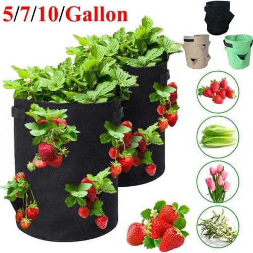 Garden Outdoor Planting Grow Bag Strawberry Vertical Flower Herb Pouch Root Breathable Vegetable Round Reusable Pot Planter