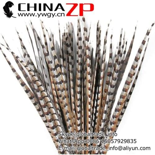 Leading Supplier CHINAZP Factory 50pcs/lot Large Size 60-70cm(24-28inch) Natural Reeves Venery Pheasant Tail Feathers