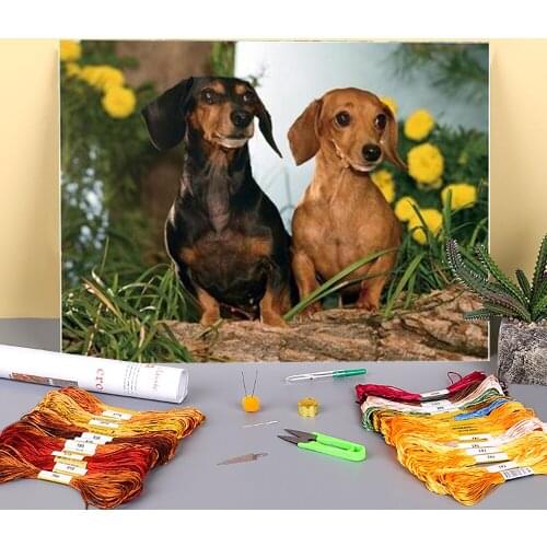 Animal Dachshund Printed Water-Soluble Canvas 11CT Cross-Stitch Complete Kit DIY Embroidery DMC Threads work Package