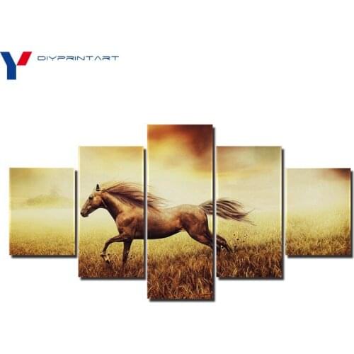 Horse Running in Field 5 Panel Wall Art Decor Animal Painting Living Room Decoration A0968