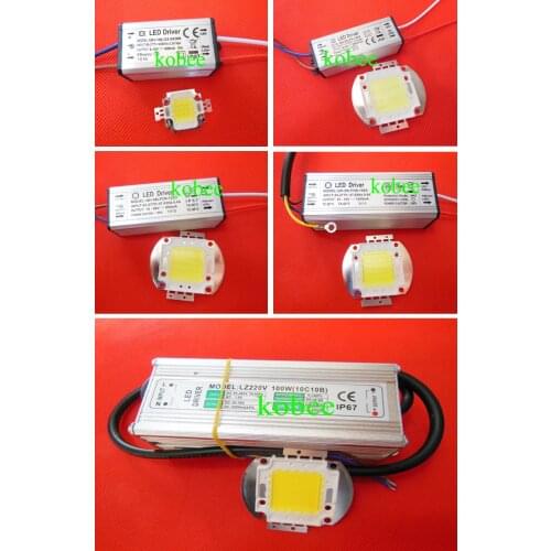 1Lots 10W 20W 30W 50W 100W High Power COB LED lamp Chips Bulb with LED Driver For DIY Floodlight Spot light Lawn