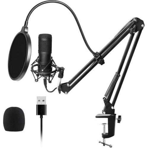 SHENGMEIYU Microphones