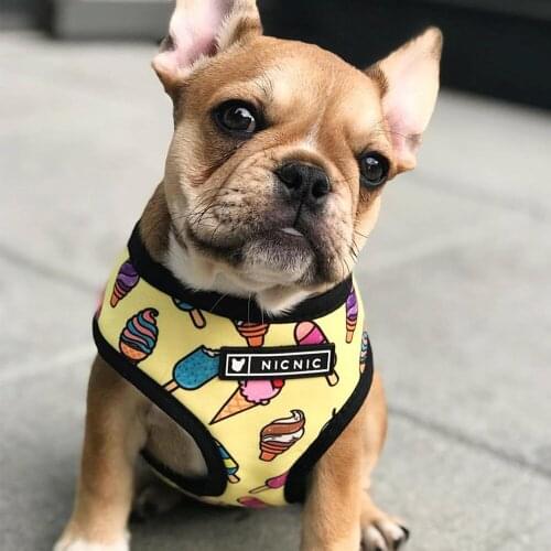 Icecream Print French Bulldog Pet Dog Collar Harness for Small Medium Dogs Leash Chihuahua Pug Dog Accessories for Yorkies S-XL