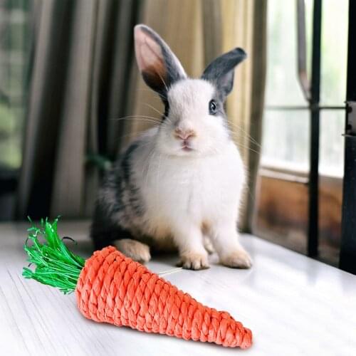 Hamster Rabbit Chew Toys Chinchilla Accessories Loofah Sponge Carrot For Dwarf Animal Guinea Pig Bite Toy Molar Radish Pet Stuff