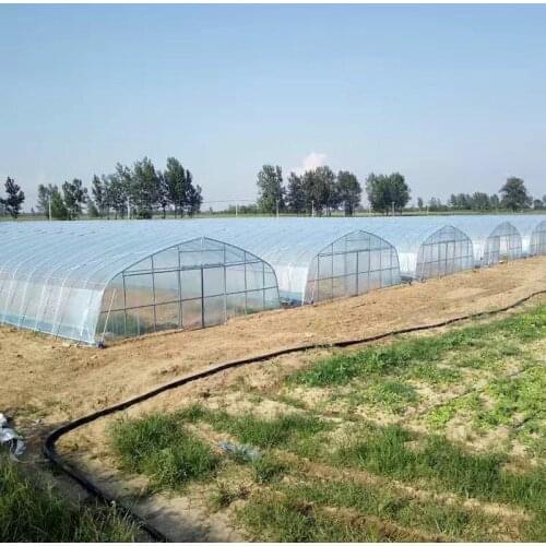 8M*30M-Green House Plastic Tube Steel Frame Greenhouse Structure
