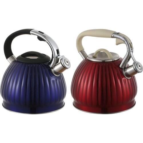 PROKTH Stainless Steel Kitchen Kettles