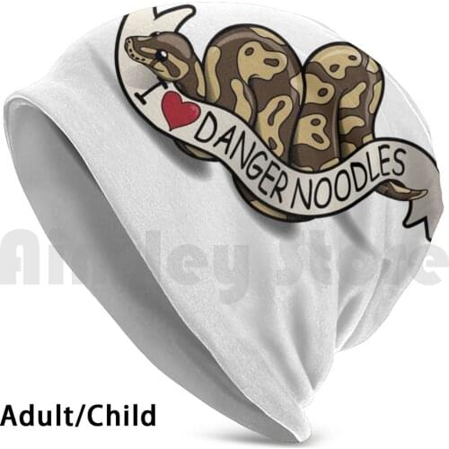 I Love Danger Noodles Beanies Knit Hat Hip Hop Danger Noodles Ball Python Cute Ball Python I Love Ball Pythons Cute